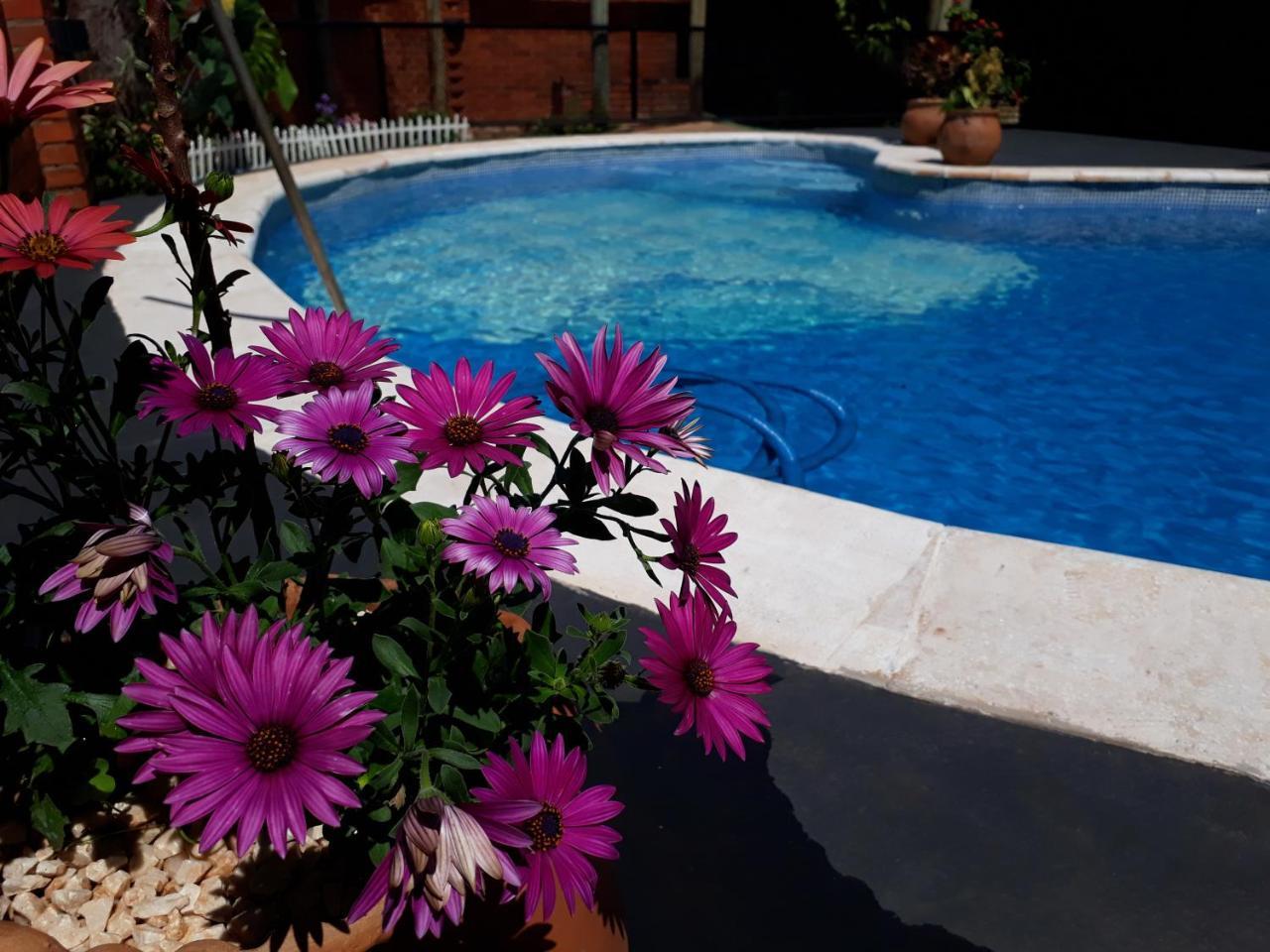 Sentirse En Casa Villa Puerto Iguazú Eksteriør billede